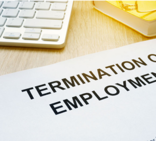 250 plus edcuation department employees terminated from service