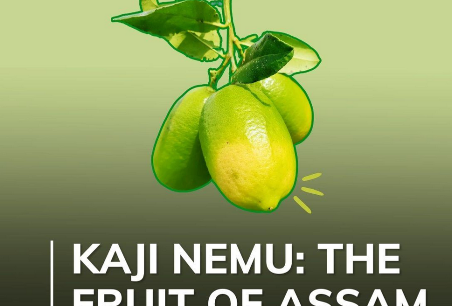Assam government declared 'Kaji Nemu' as state fruit