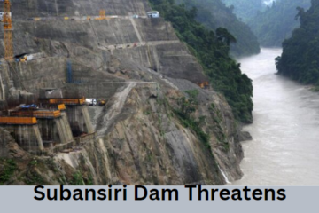 Subansiri dam construction: A threat to Elephant Migration